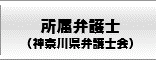 所属弁護士