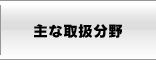 主な取扱分野